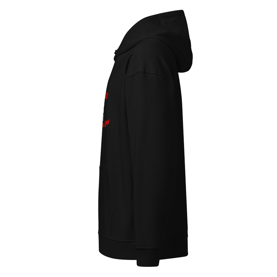 I SURVIVED MR. DELEGATES DROP - HOODIE product image (6)