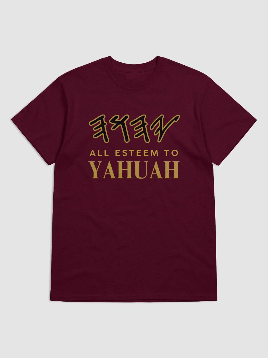 Yasharal Original Music: All Esteem To YAHUAH | T-Shirt | Maroon product image (1)