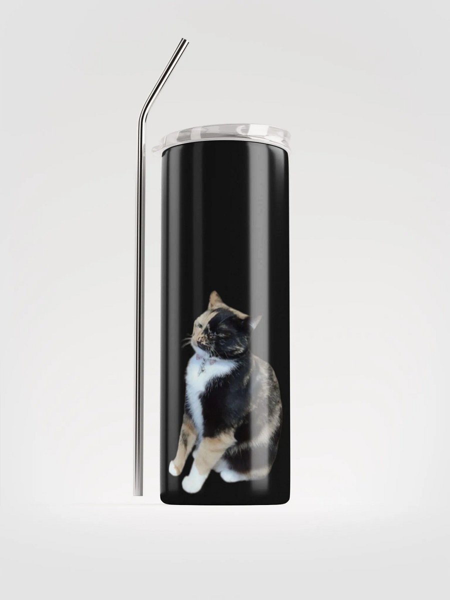 Lyra Judgment Stainless Steel Tumbler product image (1)