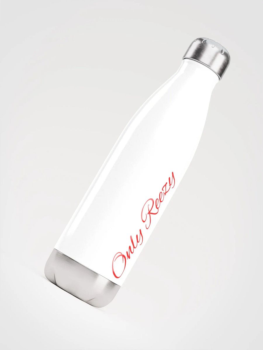 Reezy's Signature Stainless Steel Thirst Quencher product image (4)