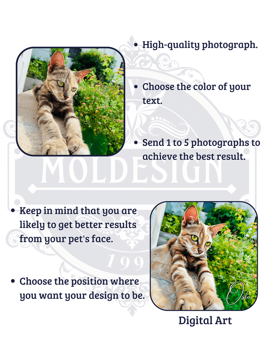 YOUR CAT! / FRAMED HIGH-QUALITY MATTE POSTER / PERSONALIZED NAME / DIGITAL ART / 18" X 18" product image (3)
