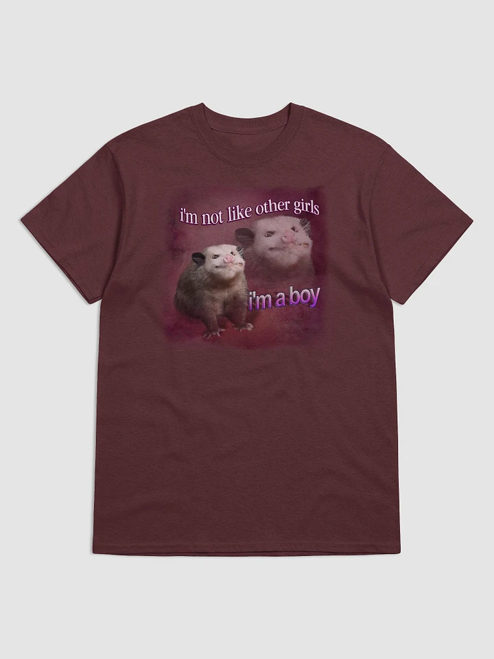 I'm not like other girls, I'm a boy possum T-shirt product image (1)