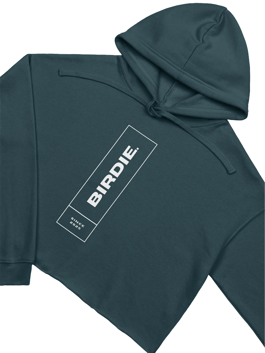 BIRDIE Vertical Crop Hoodie product image (3)