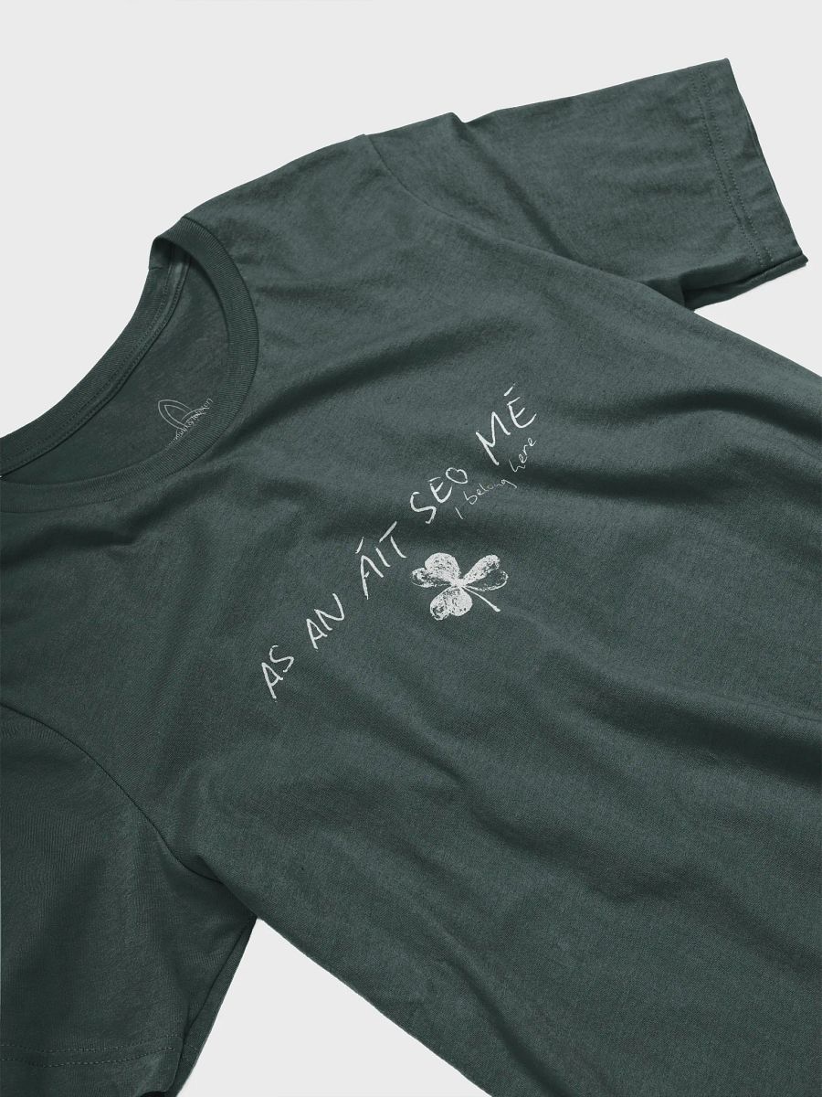 As An Áit Seo Mé ( I Belong Here) T-shirt product image (2)