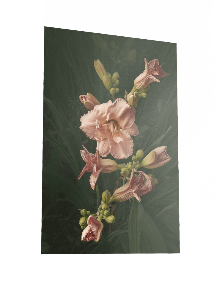 Cascasde of Daylilies product image (2)