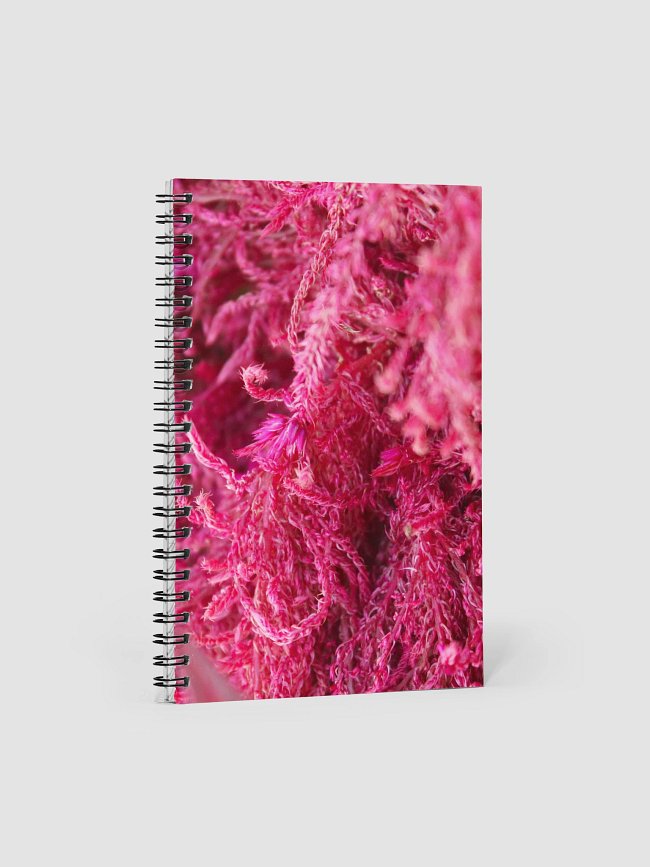 Notebooks