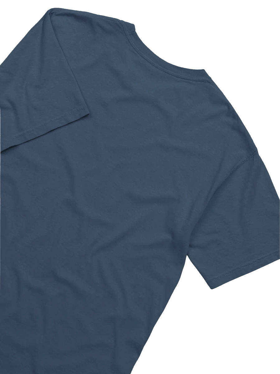Comfort Colors Pride T-shirt product image (53)