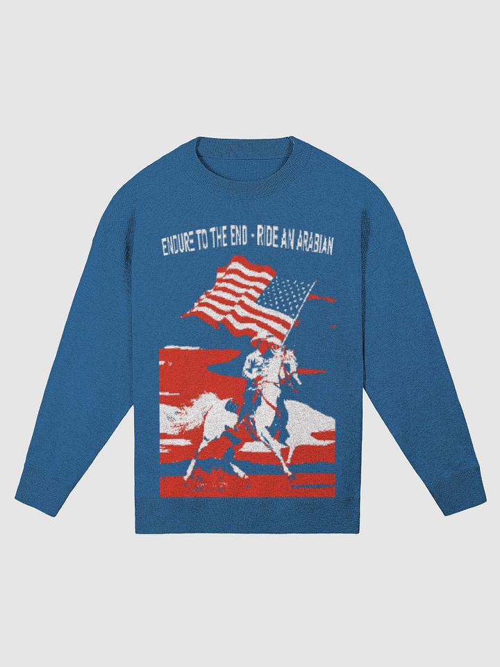 Equestrian Patriot Relaxed Knit Sweater product image (5)