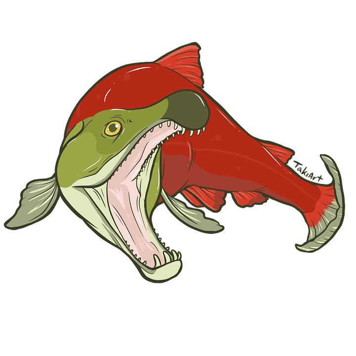 Salmon - Sticker product image (1)