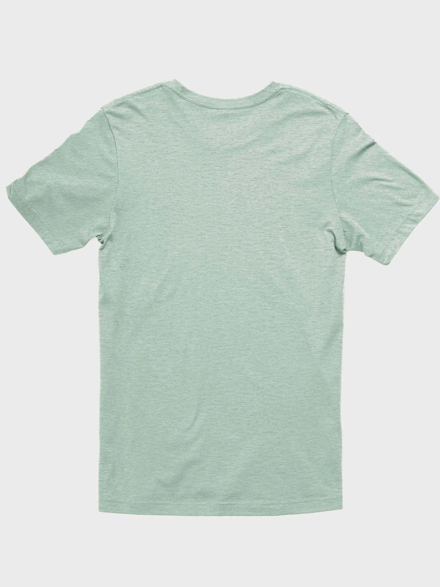St. Patrick the Tortoise Premium T-shirt product image (2)