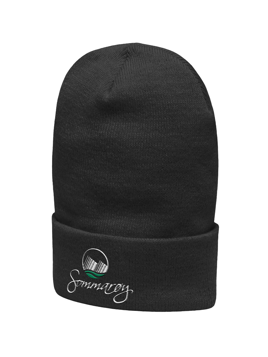Wave Logo Embroidered Beanie product image (4)