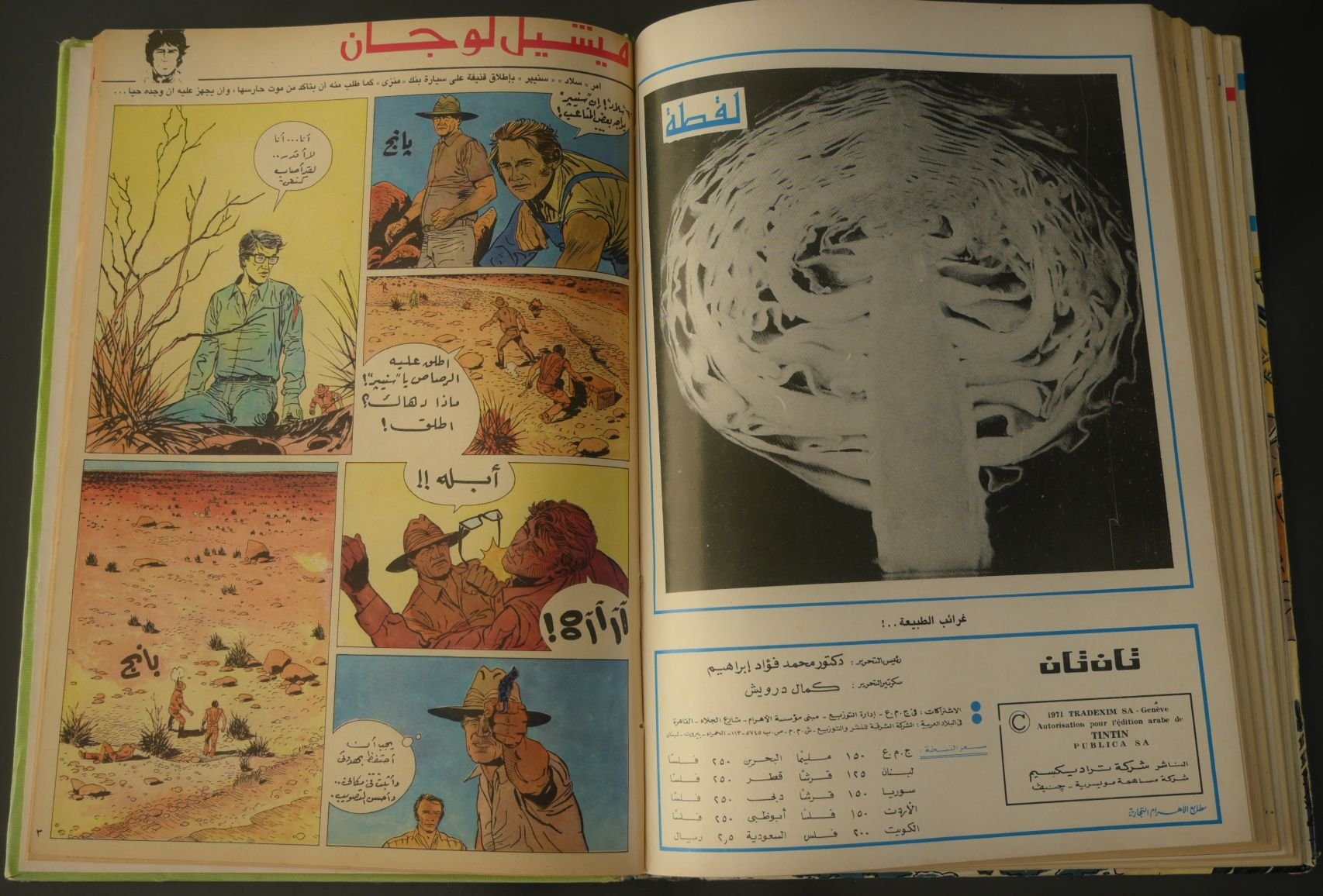 مجلد مجلة تان تان عام 1976 (المجلد الخامس والخمسون) product image (6)