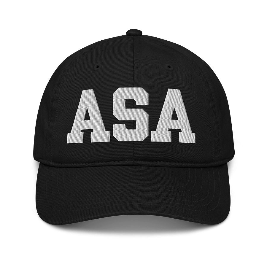 ASA Organic Dad Hat by Econscious product image (1)