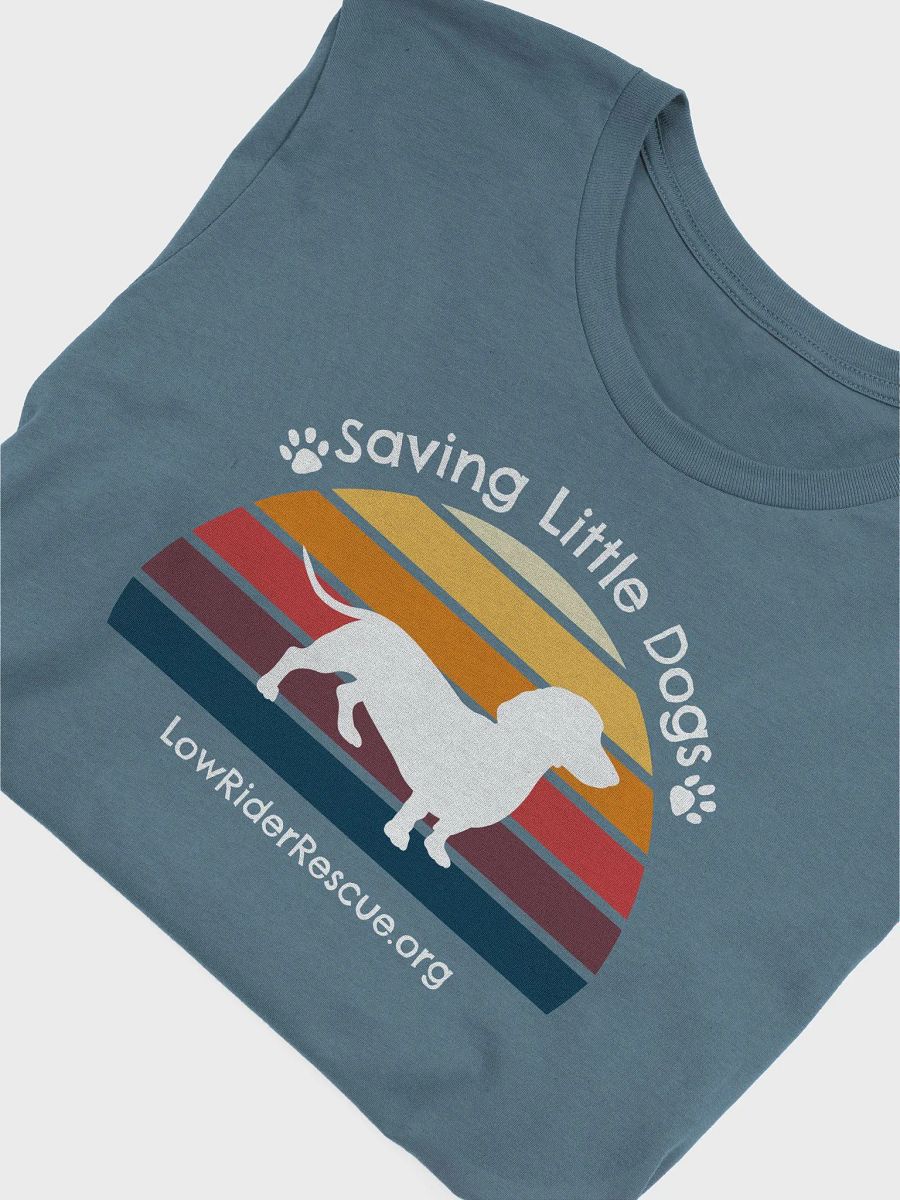 Sunset Rainbow Low Rider Dachshund Rescue T 6 product image (4)