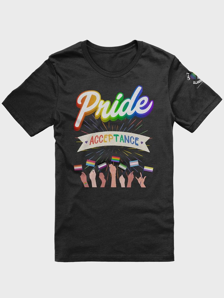 Pride Acceptance T-Shirt product image (1)