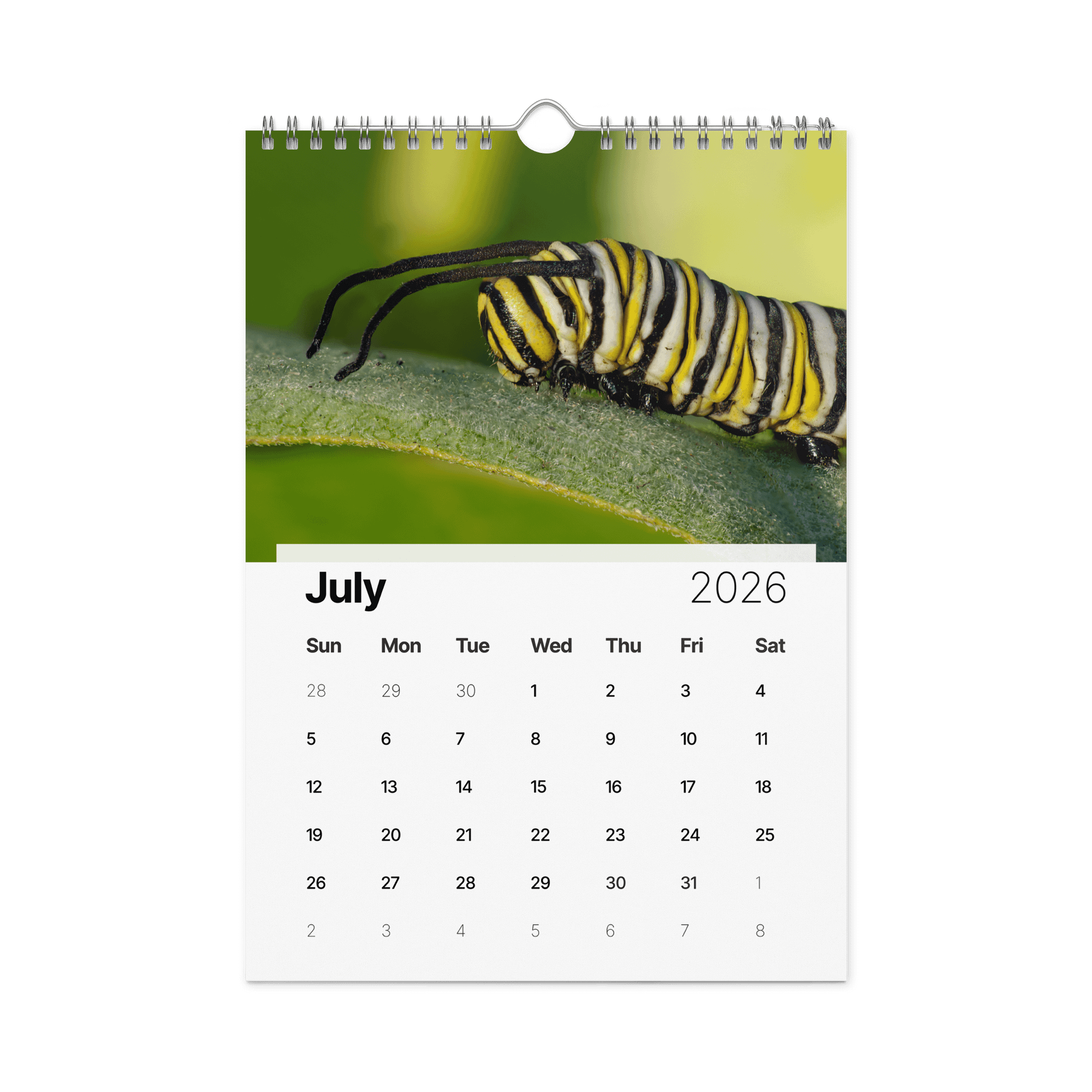 2026 Garden Bugs product image (8)