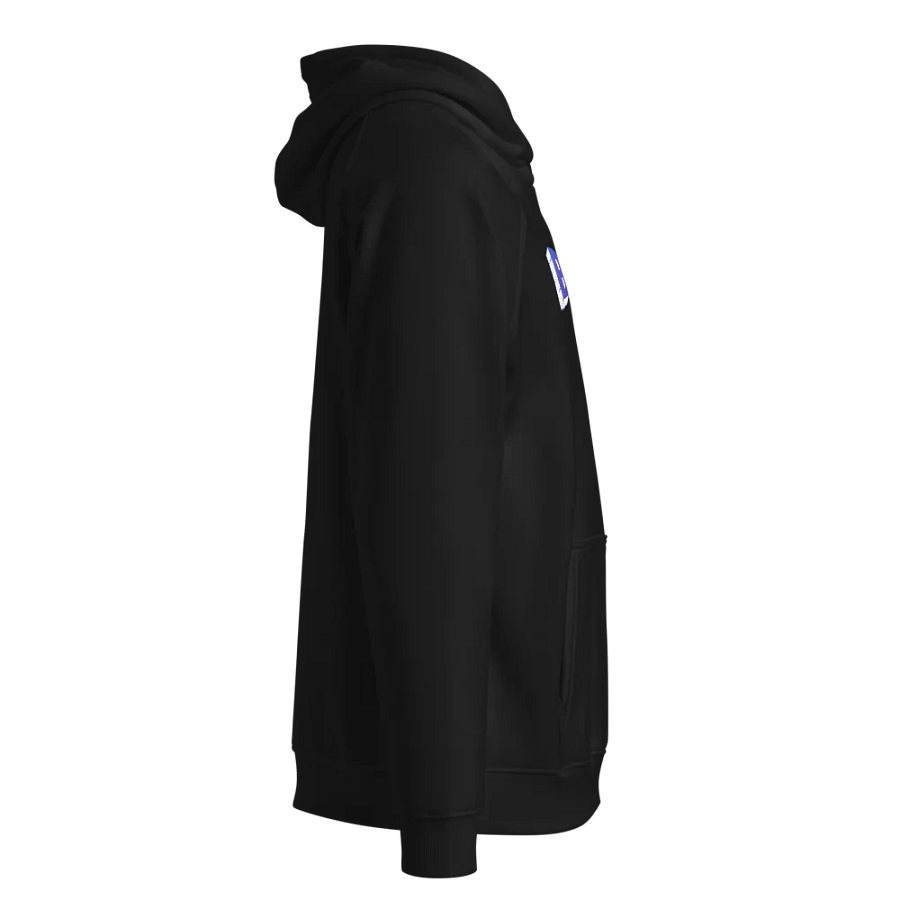 GAMING BRODUCTIONS COLOR LOGO PREMIUM HOODIE product image (4)