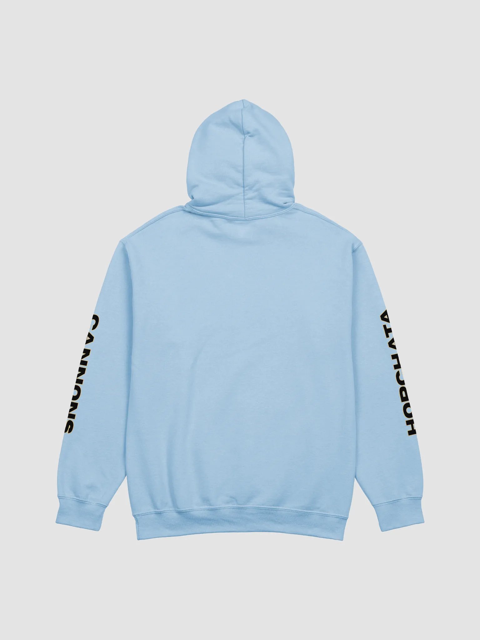 Horchata Cannons Hoodie product image (20)