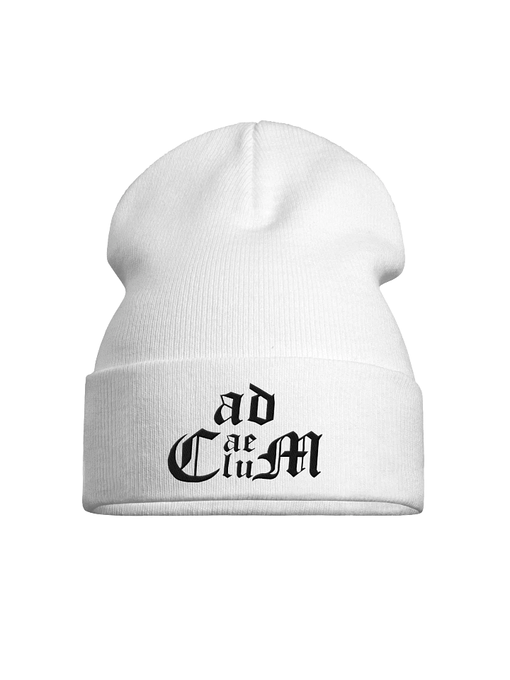 Generic Logo Beanie (White) product image (1)