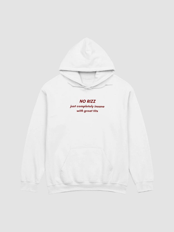 NO RIZZ JUST COMPLETELY INSANE WITH GREAT TITS HOODIE product image (1)