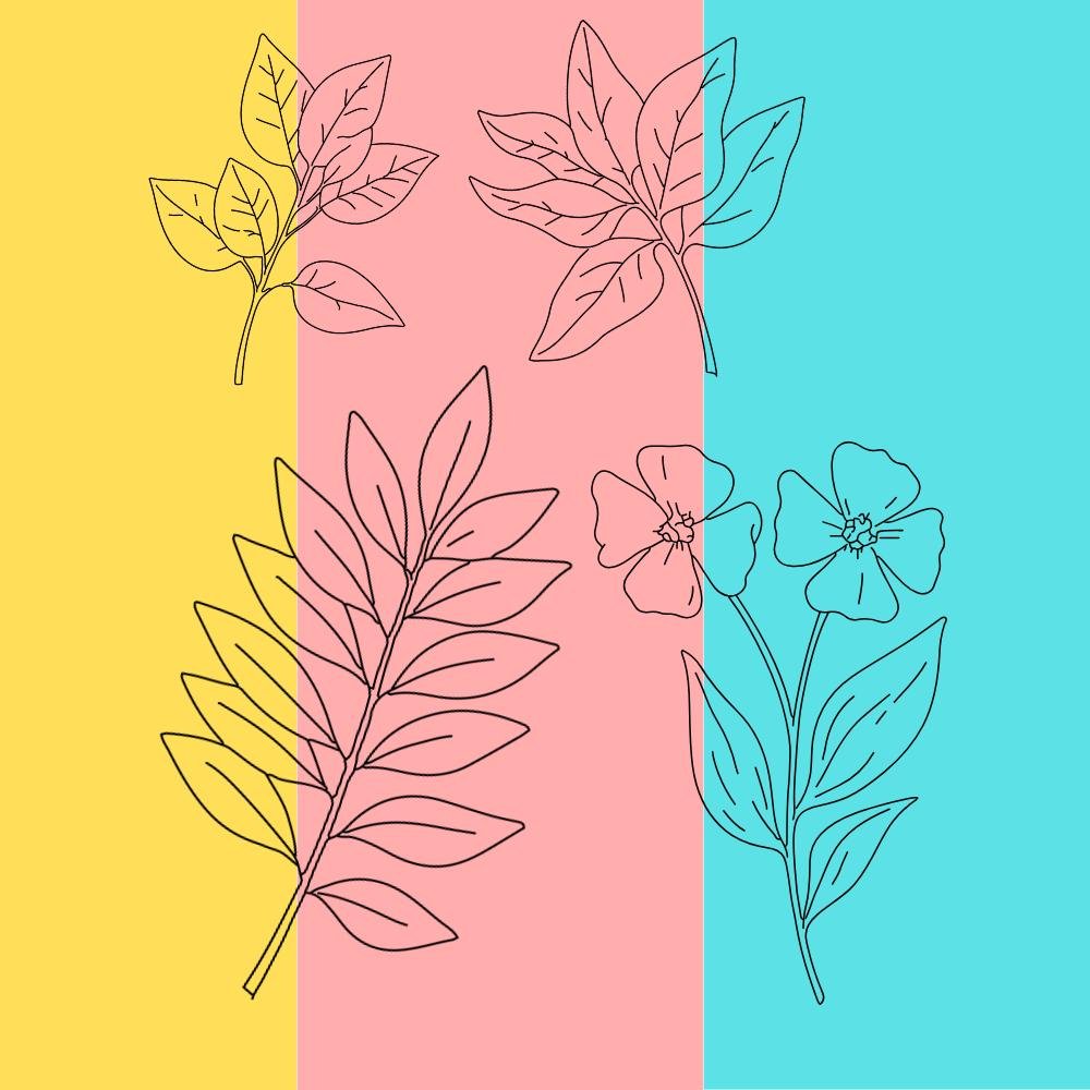 Botanical SVG Bundle: Hand-Drawn Floral Clipart & Leaf Doodles product image (2)
