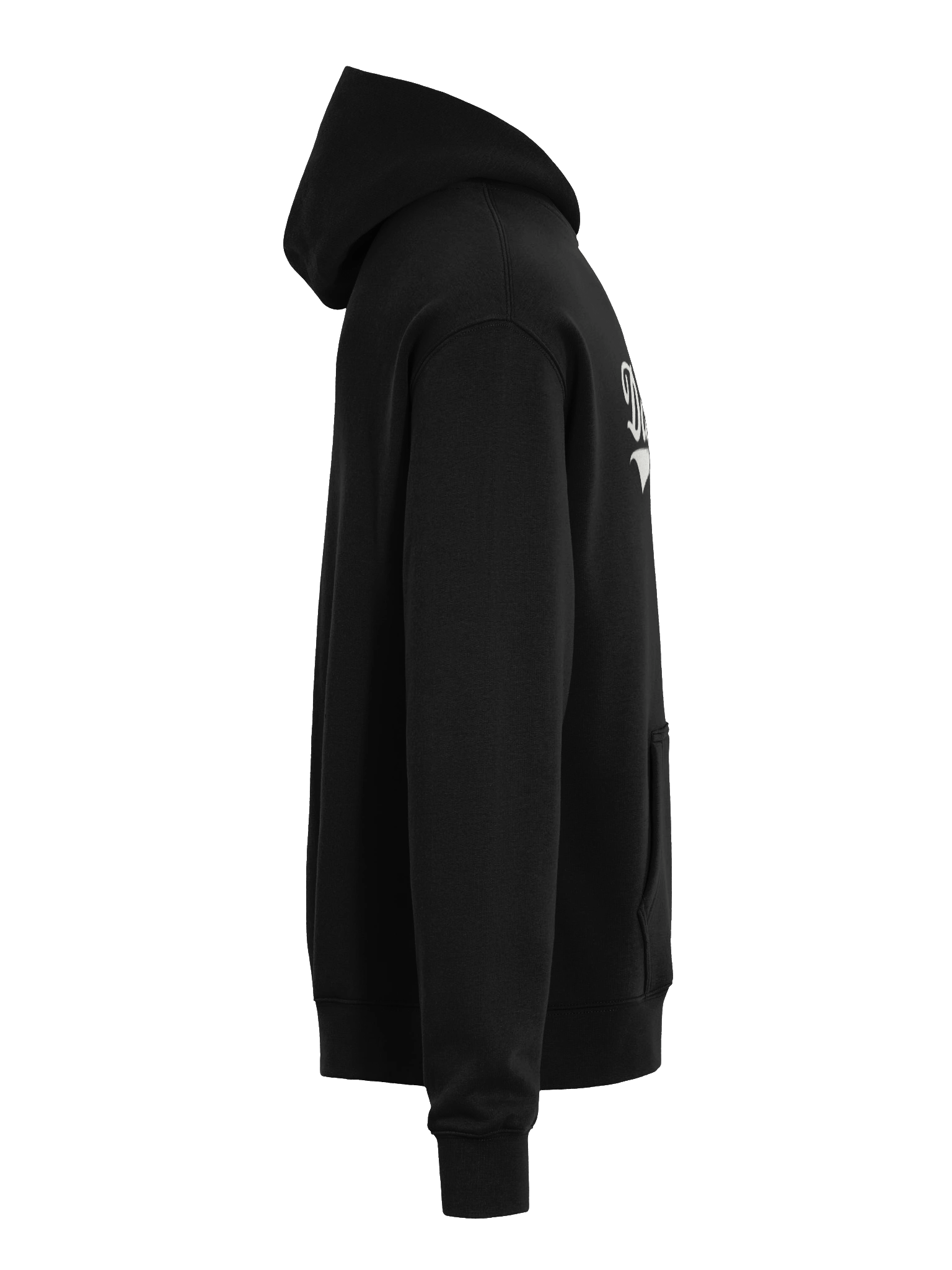 DatSalt Classic Script Hoodie product image (8)