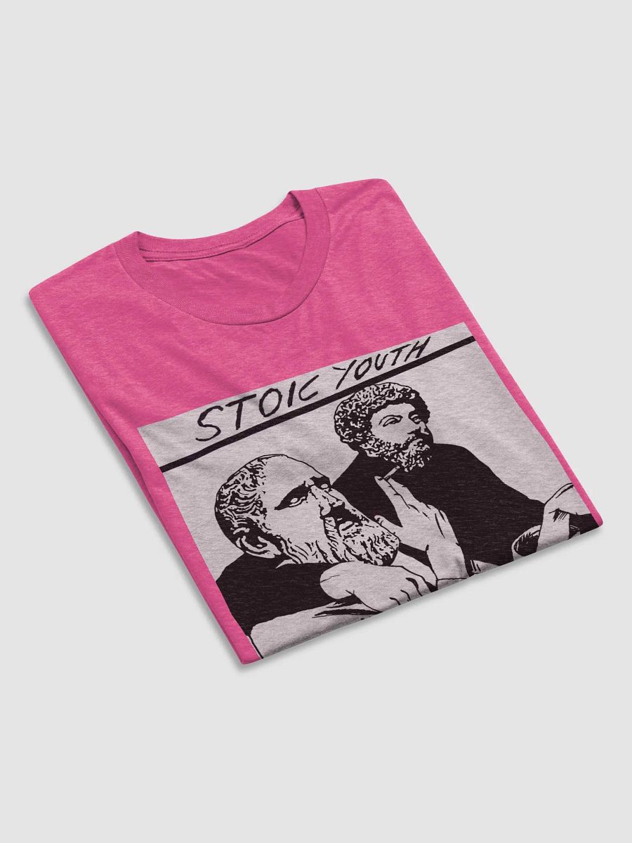 Stoic Youth Bella+Canvas Triblend Short Sleeve T-Shirt product image (5)