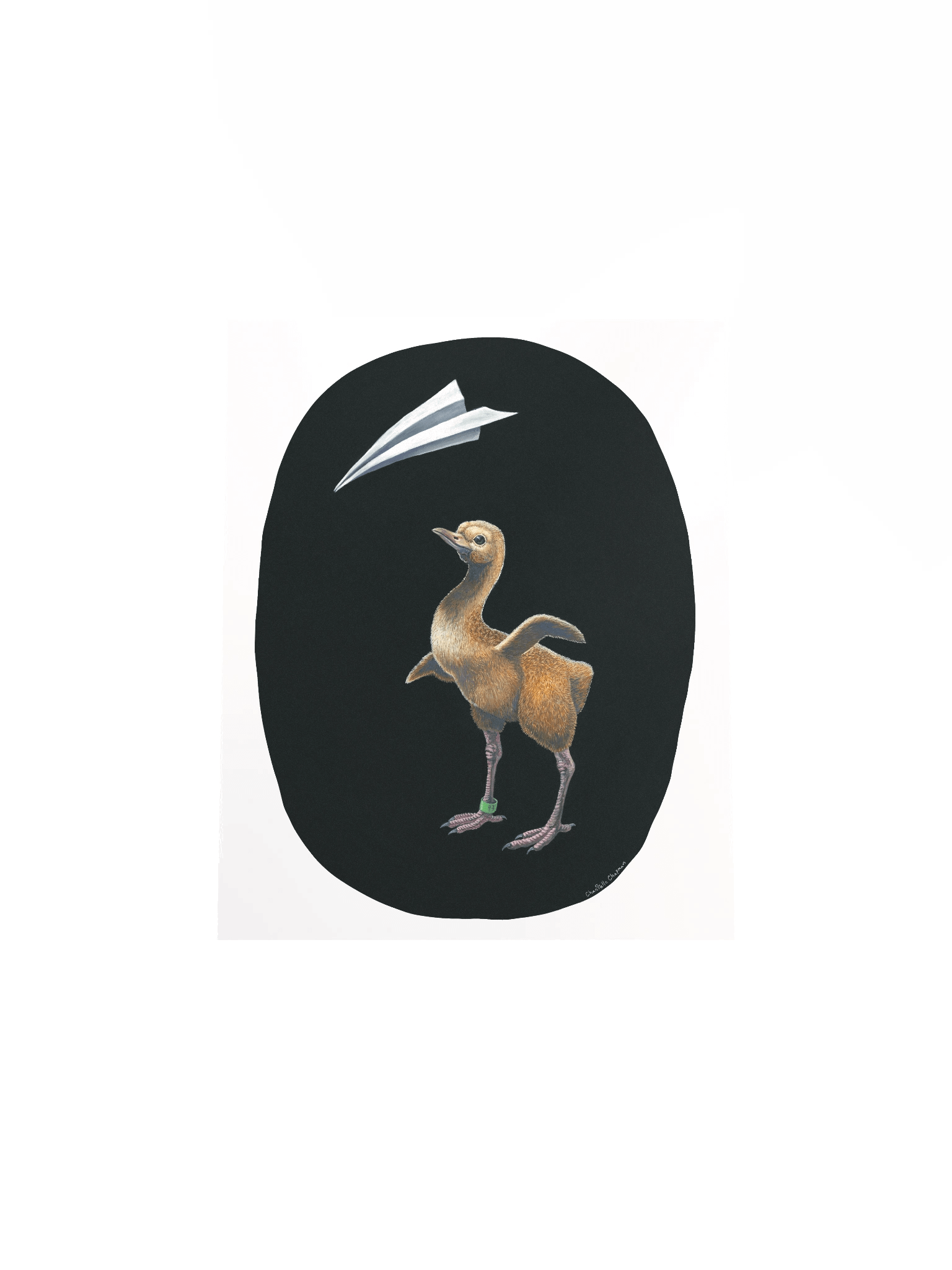 Assisted Migration (Whooping Crane) - Art Print product image (5)