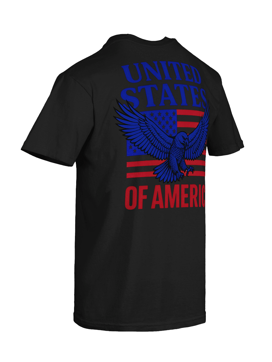 Patriotic Eagle Graphic Tee product image (87)