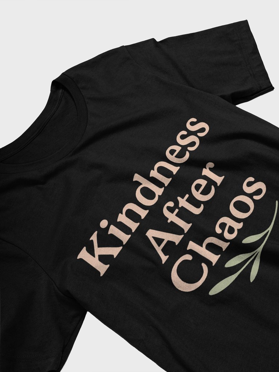 Kindness After Chaos Tee product image (4)