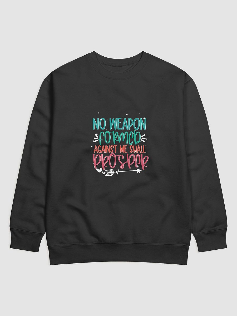 Divine Protection Premium Sweatshirt product image (1)