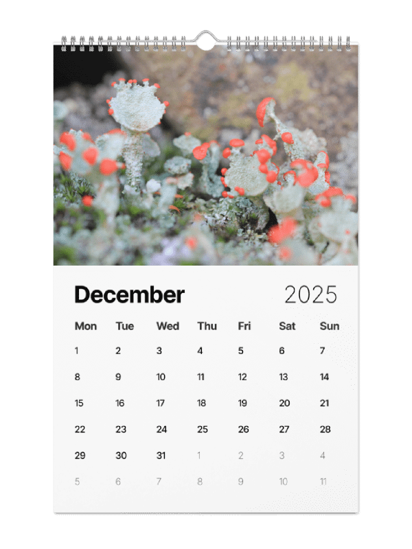 Lichen Calendar 2025 product image (2)