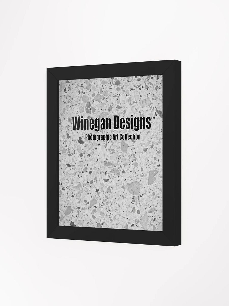 Winegan Designs™ Photographic Art Collection Matte Poster in Ayous Wood Frame product image (19)