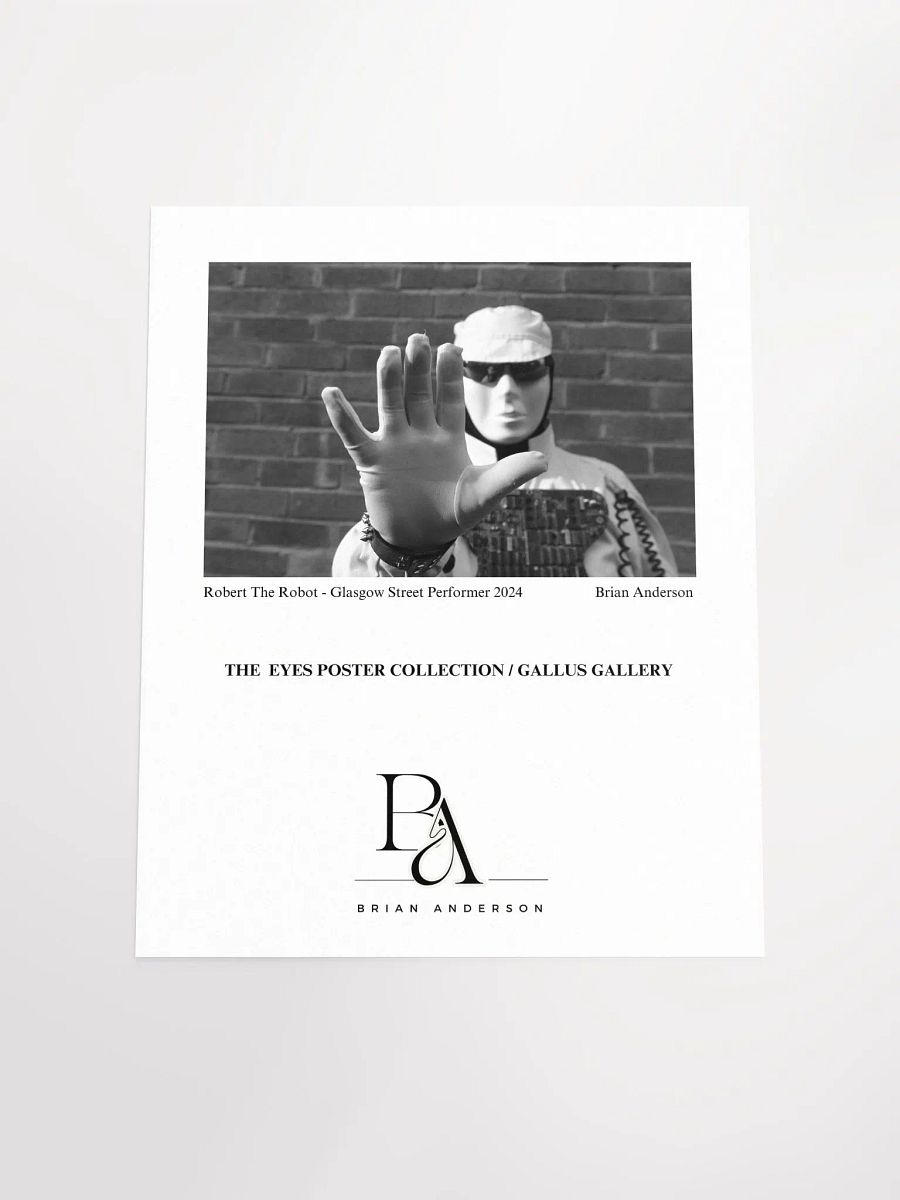 Brian Anderson Collection Robert The Robot product image (4)