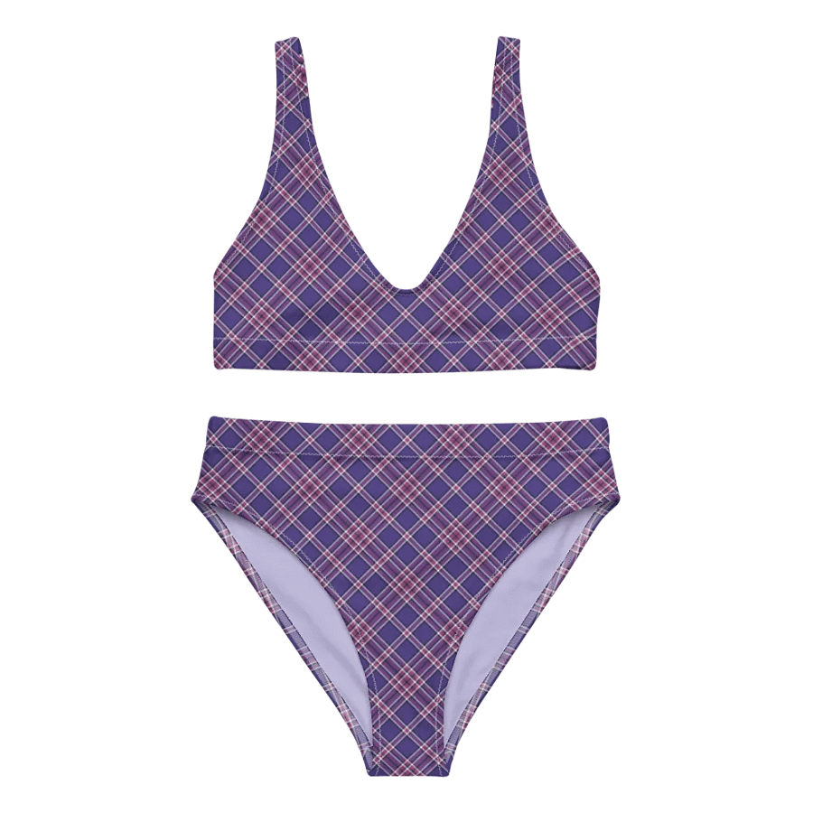 Purple Orchid and Violet Plaid Bikini product image (2)