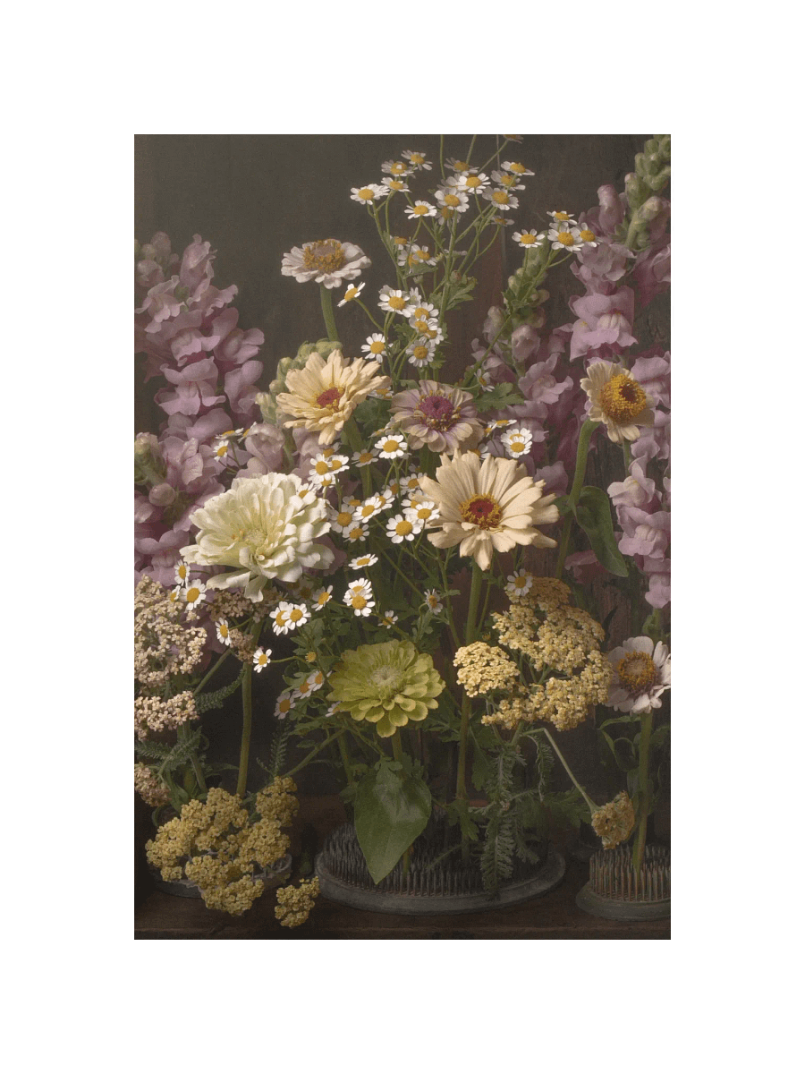 The Cottage Garden Fine Art Print product image (1)