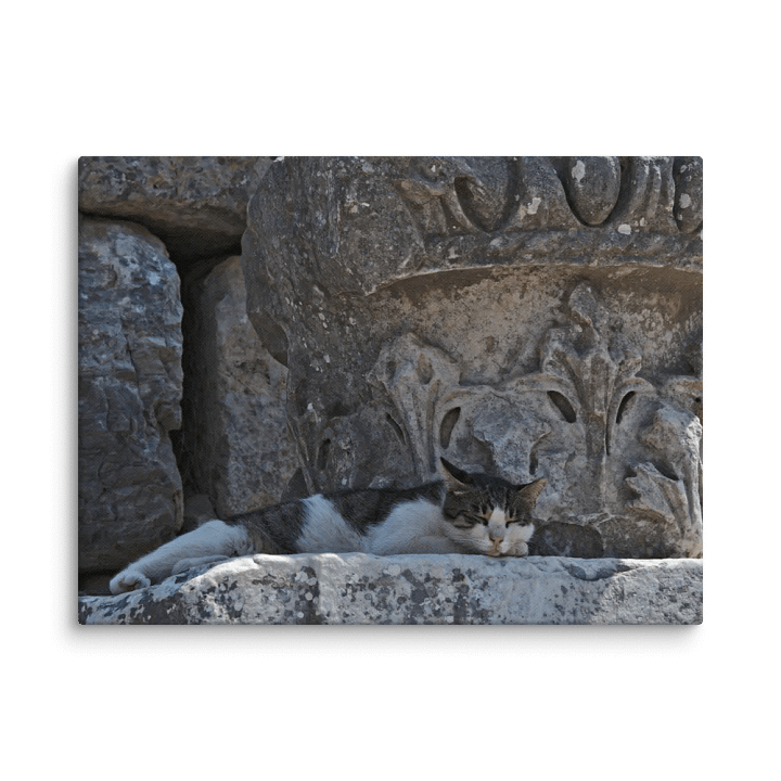 Sleeping Cat (Canvas) product image (3)