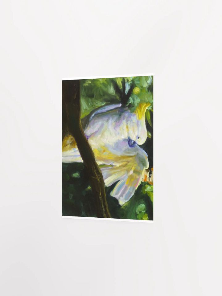 CACKATOO product image (2)