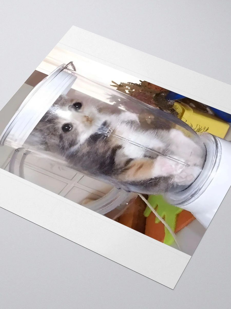 Kiss Cut Stickers: Meme Cats blender product image (3)
