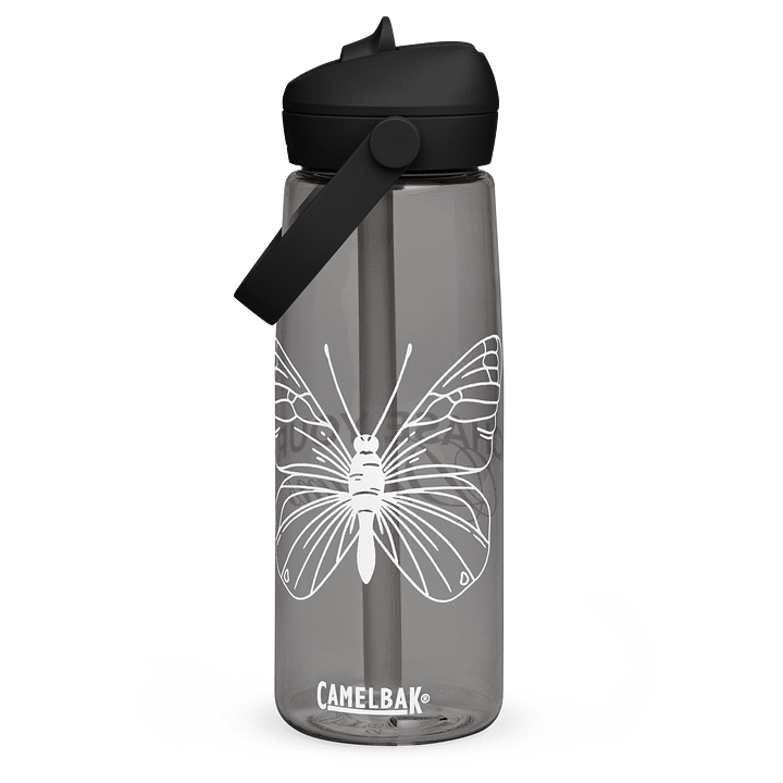 Chase Your Dreams Butterfly Water Bottle product image (1)