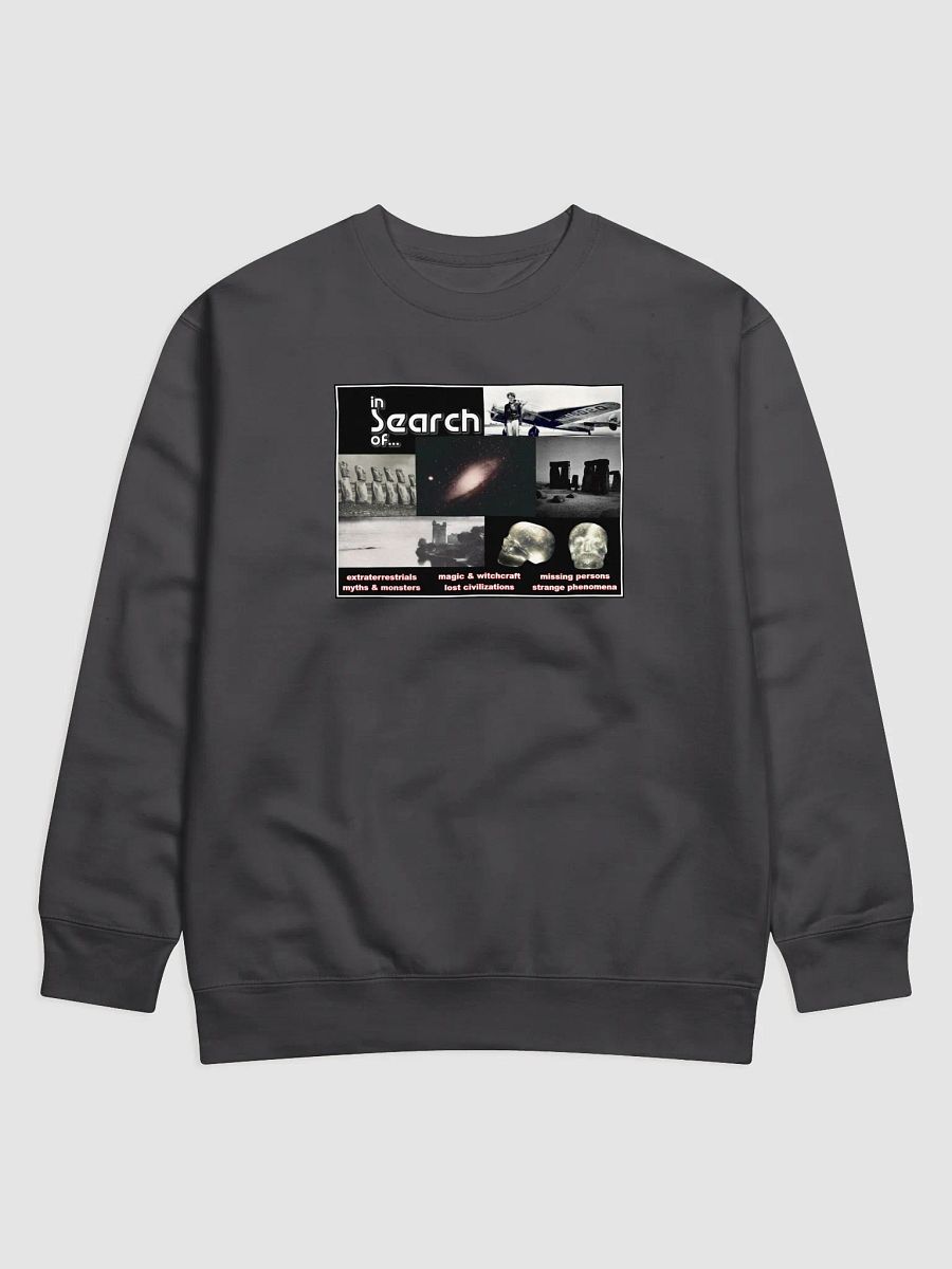 In Search of...Sweatshirt product image (1)