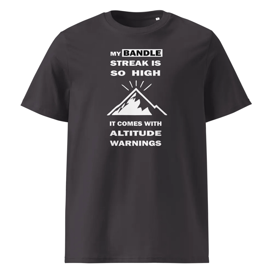 High Streak Organic Cotton T-Shirt 1 product image (5)