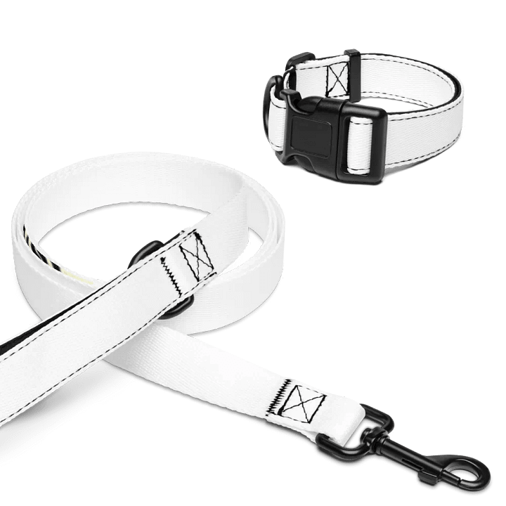 Honey (Pet Collar & Leash) product image (1)