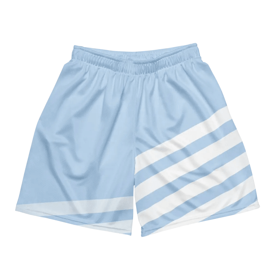 Striped Skyline Recycled Mesh Shorts product image (2)