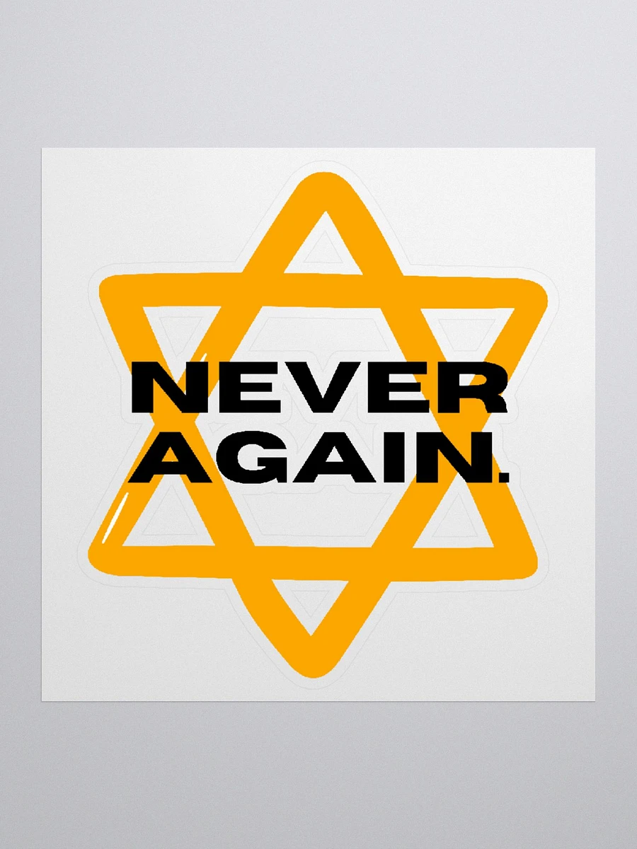 Never Again Sticker product image (2)