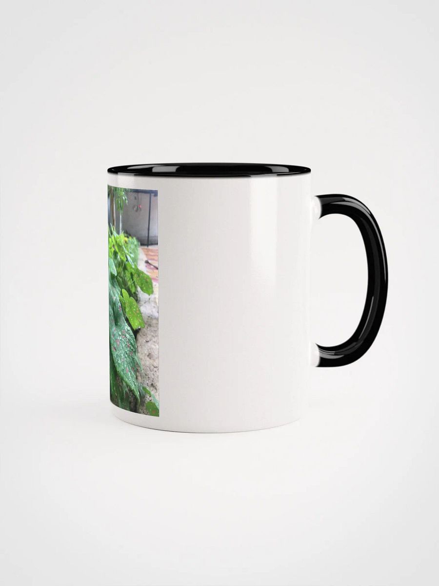 Ceramic Mug with Color Inside (leafs) product image (9)