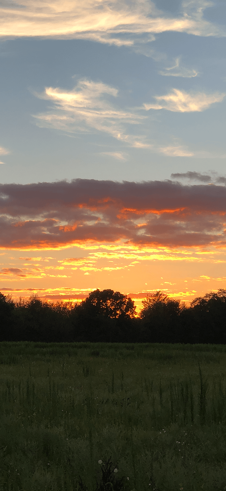 Sunset in the Field Phone Background product image (1)