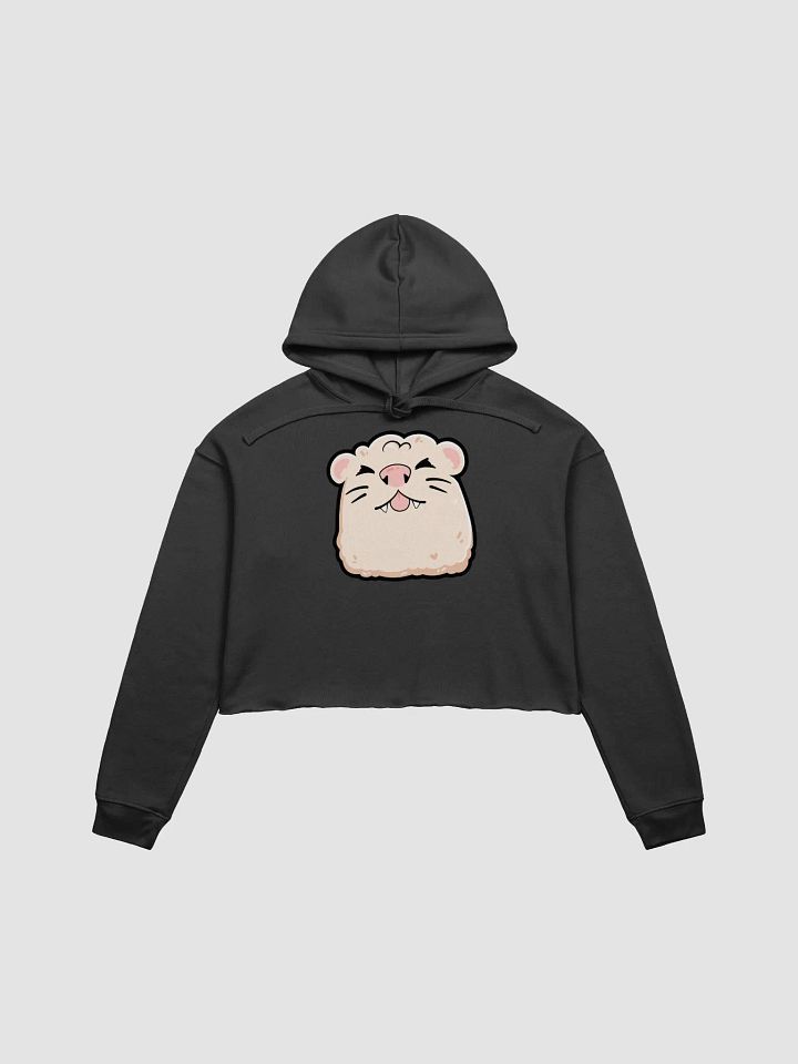 MLEM CROP HOODIE product image (1)