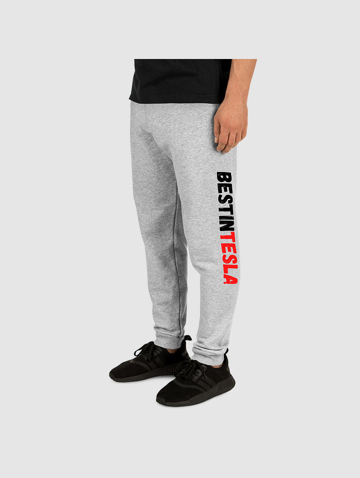 BestInTESLA Unisex Joggers Light product image (1)