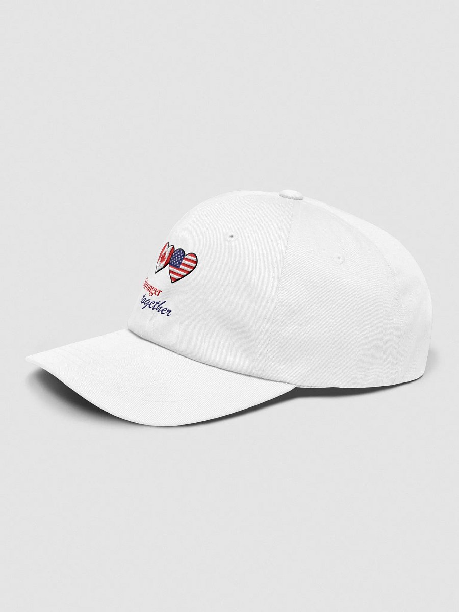 Transnational Unity Hat product image (14)